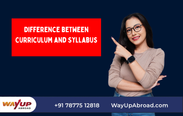 Difference Between Curriculum and Syllabus